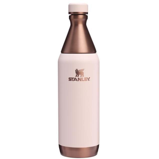 Botella Stanley All Day Slim 591ml  Gilded-Sugar (12069-195)