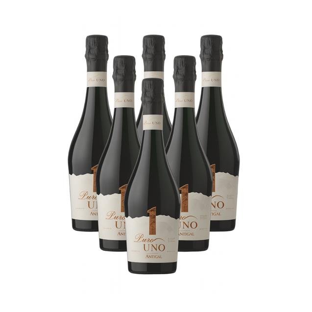 Caja Espumante Antigal Puro Uno Extra Brut X6 Unidades